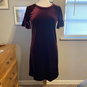 Wine colored velour sheath dress